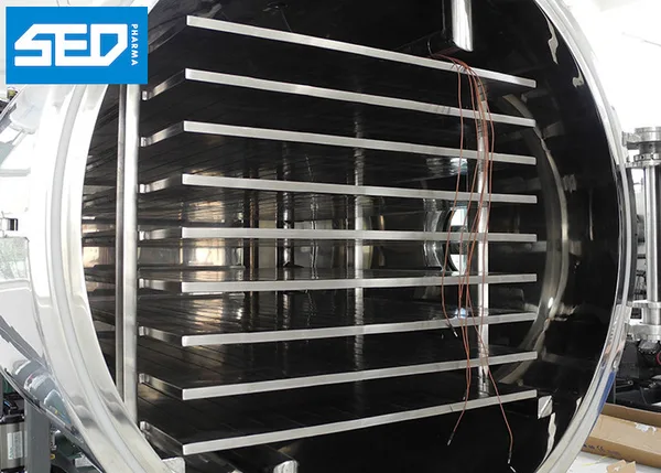 SED-10DG 100 Kgs Per Batch Industrial Lyophilisation Equipment High Efficiency For Vegetable / Fruits Drying, view 2