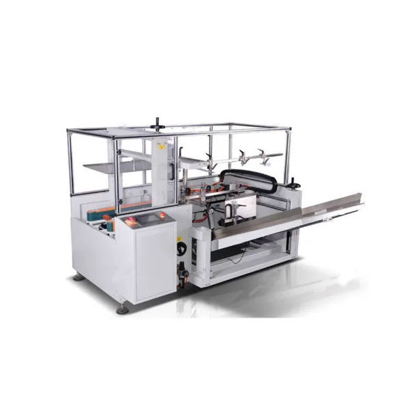 Electric Side Drive Carton Box Case Packing Machine, view 2