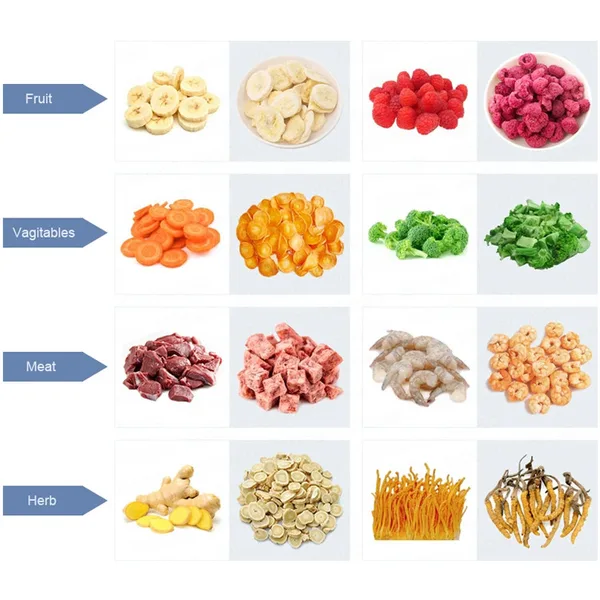 Commercial Food Vegetable 2300W Vacuum Freeze Dryer Flower Lyophilizer, view 2