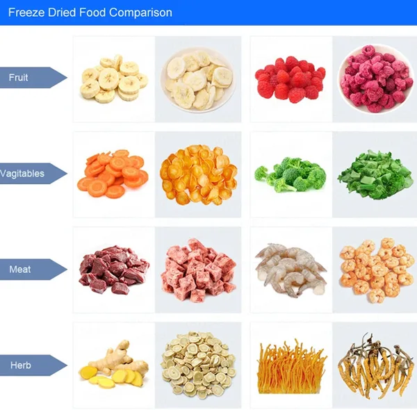 Square Meters Vacuum Lyophilization Freeze Drying Equipment With Total Weight 3500kg, view 3