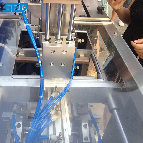 Full Automatic Pharmaceutical Machinery Equipment Pre Made Pouch Packing Machinery, view 3