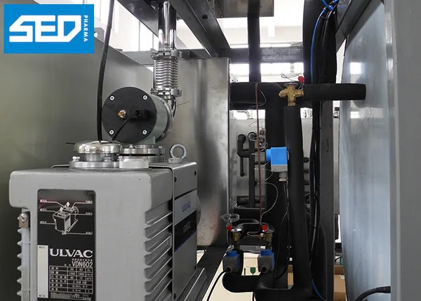 SED-10DG 100 Kgs Per Batch Industrial Lyophilisation Equipment High Efficiency For Vegetable / Fruits Drying, view 4