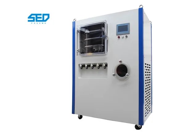 Lyophilizer vacuum system showing chamber, condenser, piping and vacuum pump